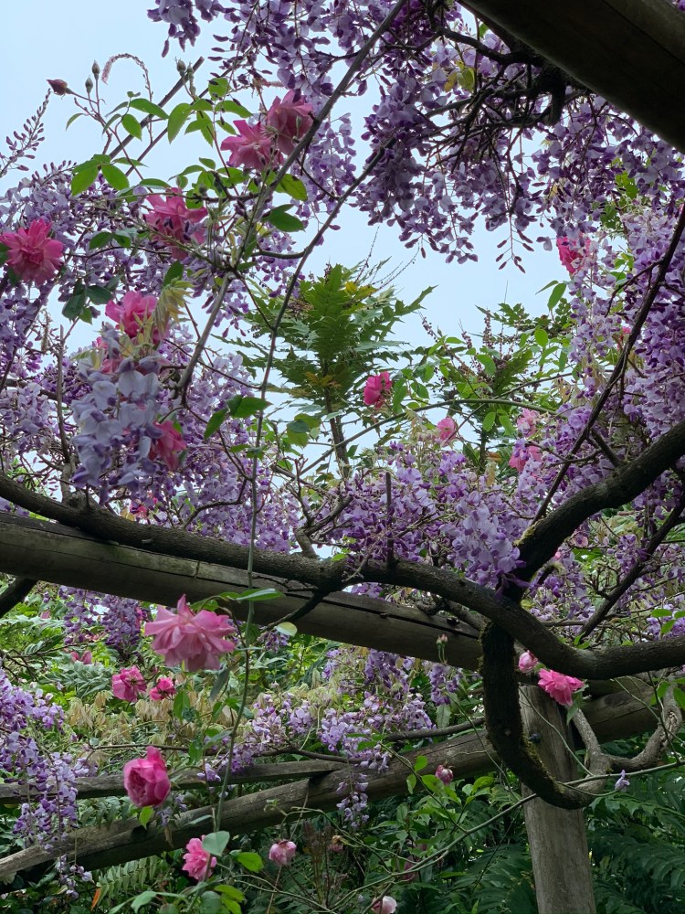 50 years of practical knowledge about plants’ horticultural&nbsp;potential